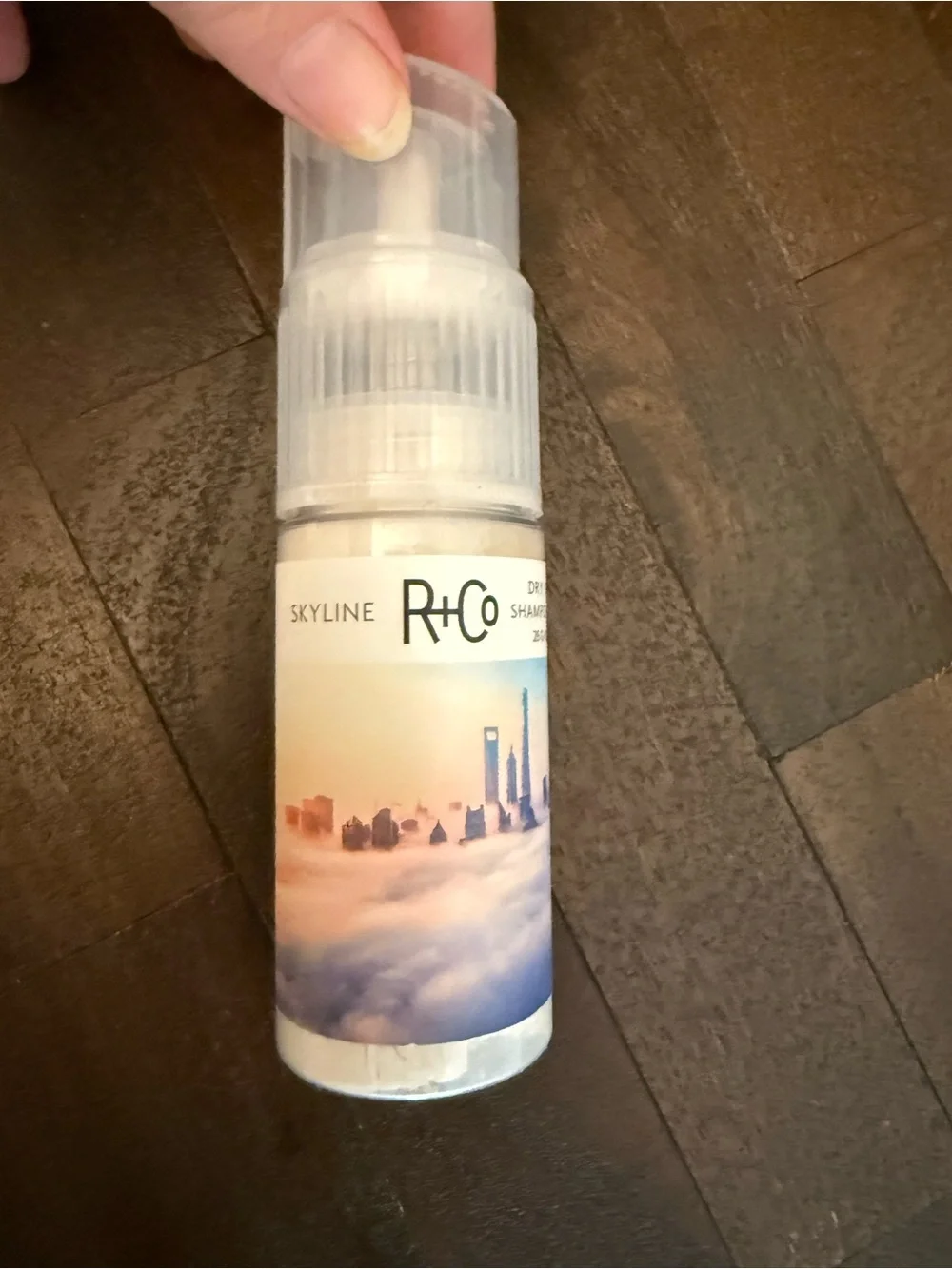 ❤️ R+Co Skyline Dry Shampoo Powder